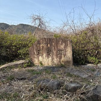 五葉湖✨ここも豊川水系の調整池だが水が少ない💦