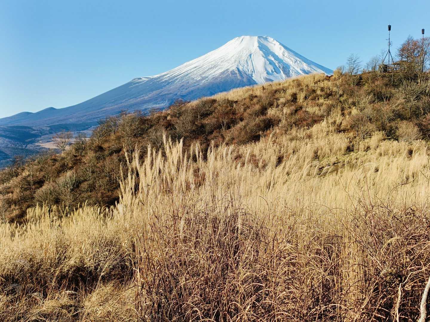🌾と🗻