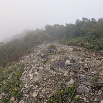清太岩山に到着。
そろそろ稜線の山が見えるはず、って思ったけど…。白い…。

ザックを下ろしても良いかなという場所が初登場