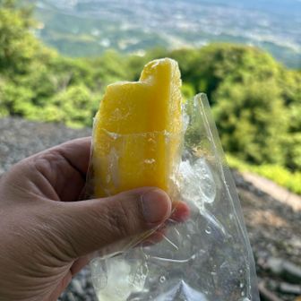 コストコのパイン🍍
凍らせて持って来たらいい感じ😊