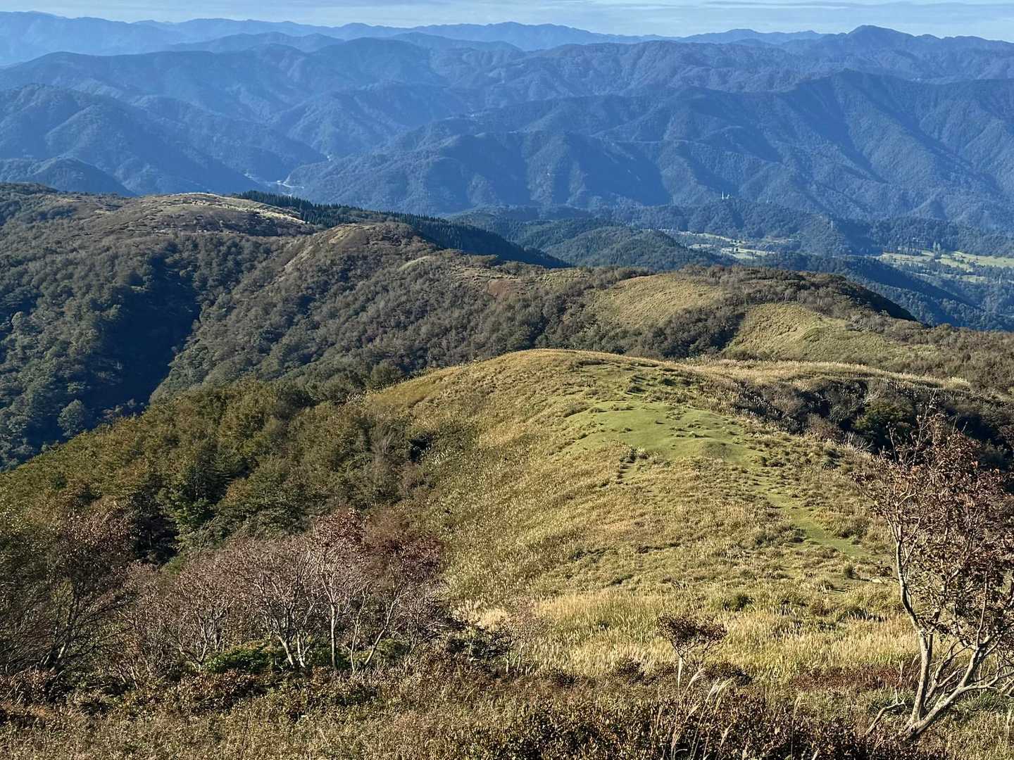 倉見登山口-三十三間山-轆轤山-ゲート 周回コースの写真