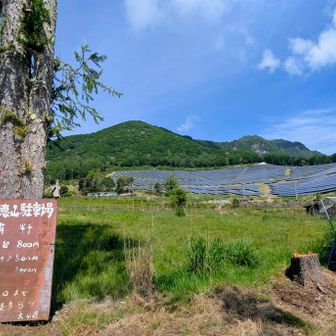 細くて急な林道を6km走り標高1300mまで一気に上って大平高原大平荘駐車場に到着😅
駐車料金は800円で一応トイレもあります
中央道渋滞につかまって予定より1時間遅れ💦
https://tozanguchinavi.com/trailhead/trailhead-1559