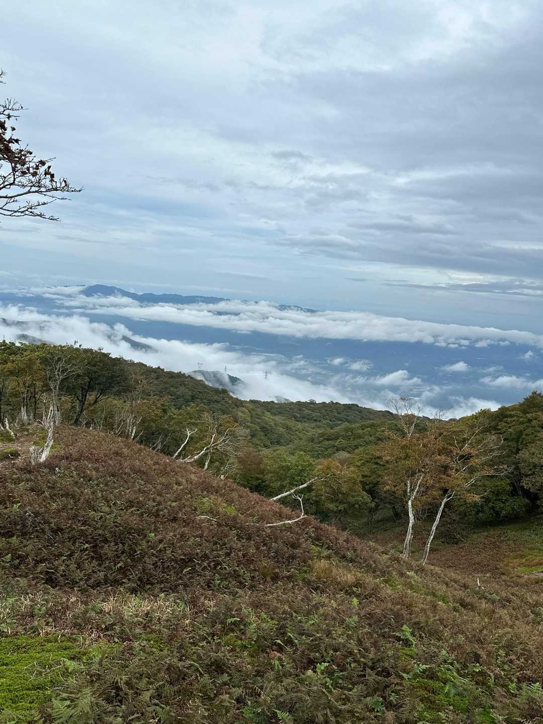 鞍掛トンネル西登山口-鞍掛峠-鈴北岳 往復コースの写真