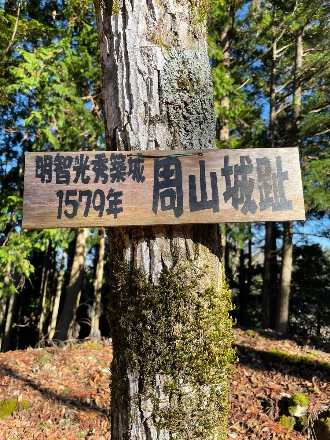 １座目ゲット‼️  城山💕