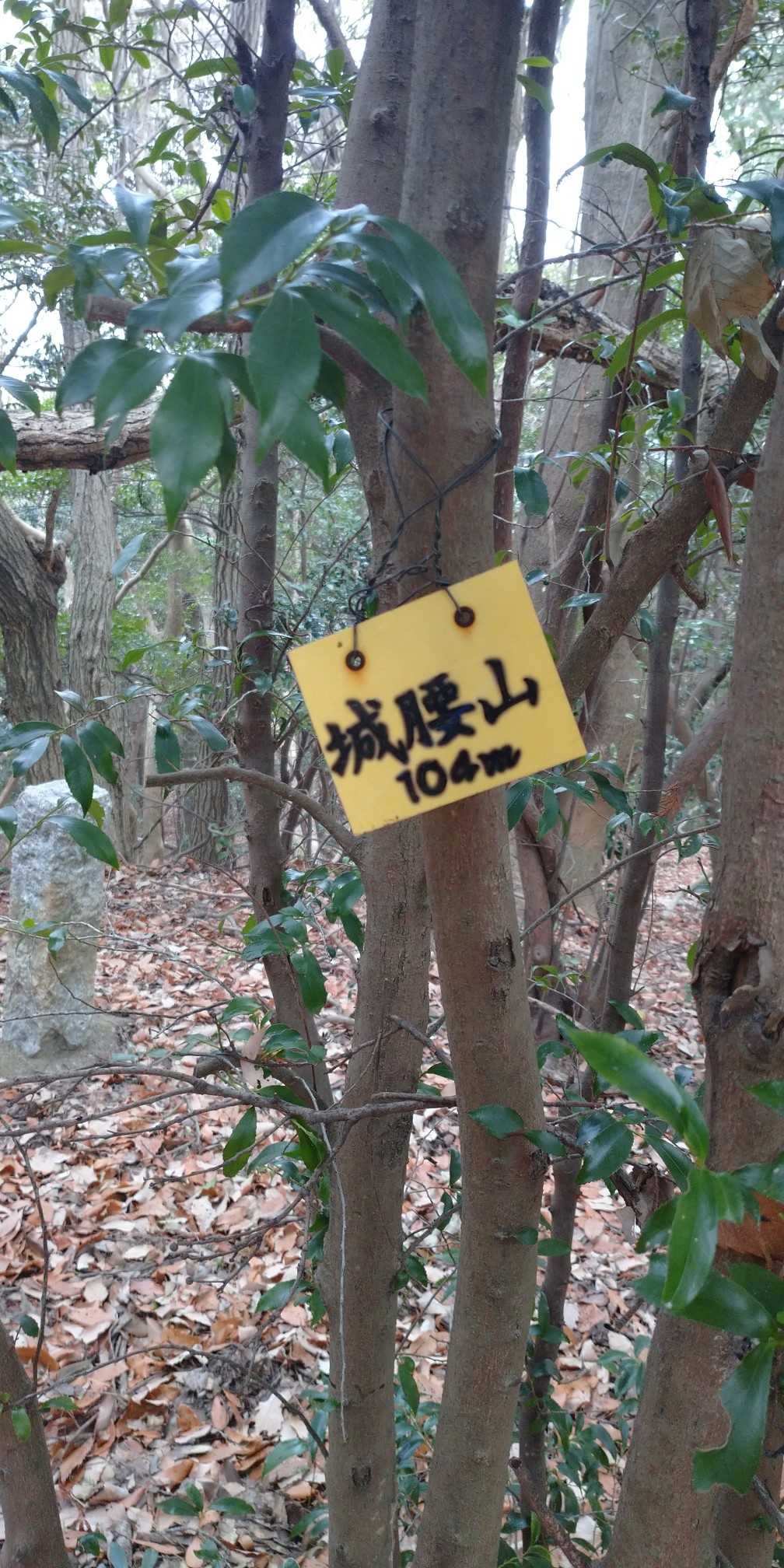 福地山じゃなかった(・・;)シロコシヤマ(・・;)？