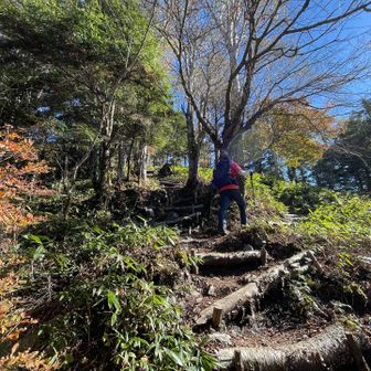 感謝しかない登山道
