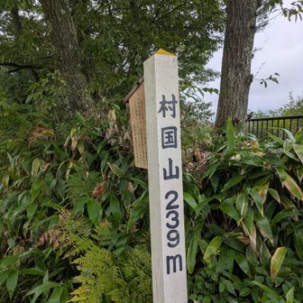 239メートル。登頂