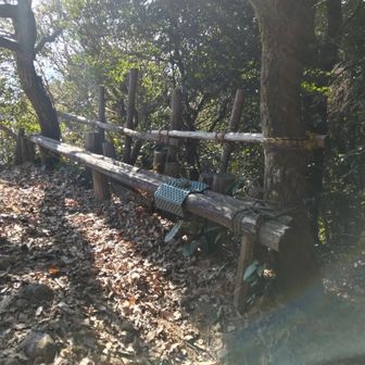山頂手前のベンチ。直登階段の登り切った所。