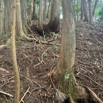 いきなり急登が続く😱