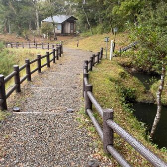 ここで戦えたのはここに池があったから。また築城したら3日空けずに雨が続いたという雨城と言われるだけあるからか。