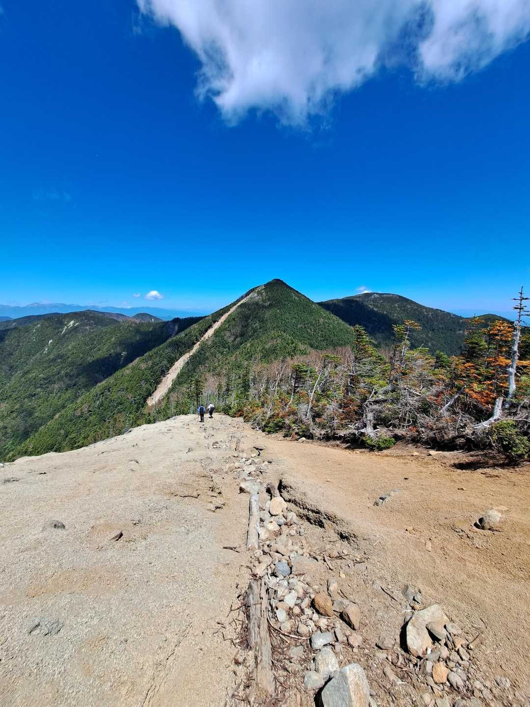 ここの景色好き。
