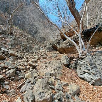 タルワキ沢、ロープ、鎖あります