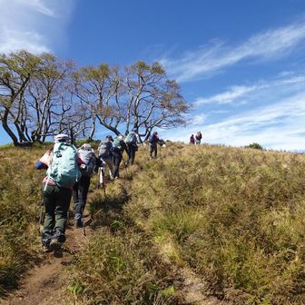 気持ち良すぎる山歩き😆
