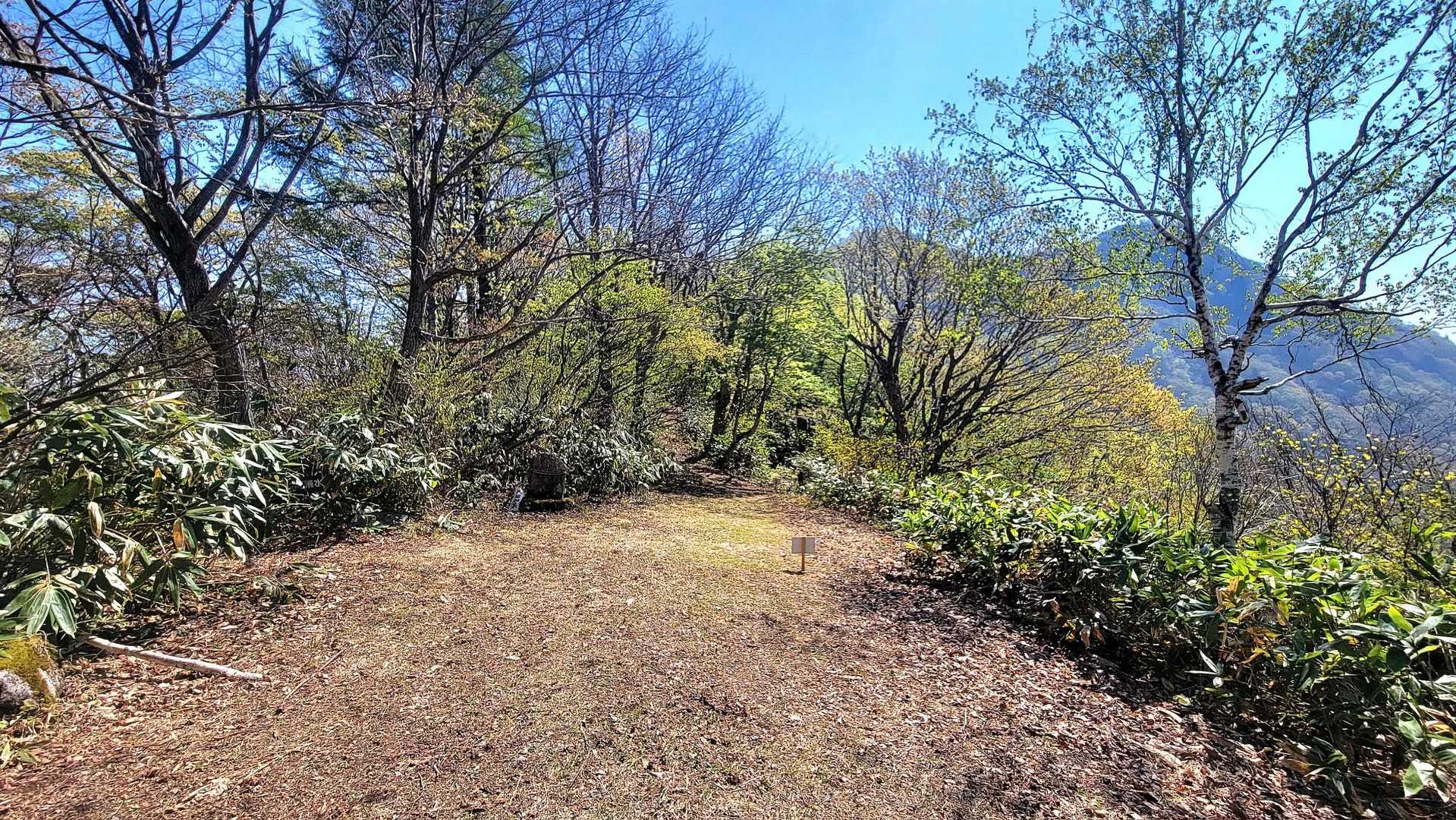 分岐に到着