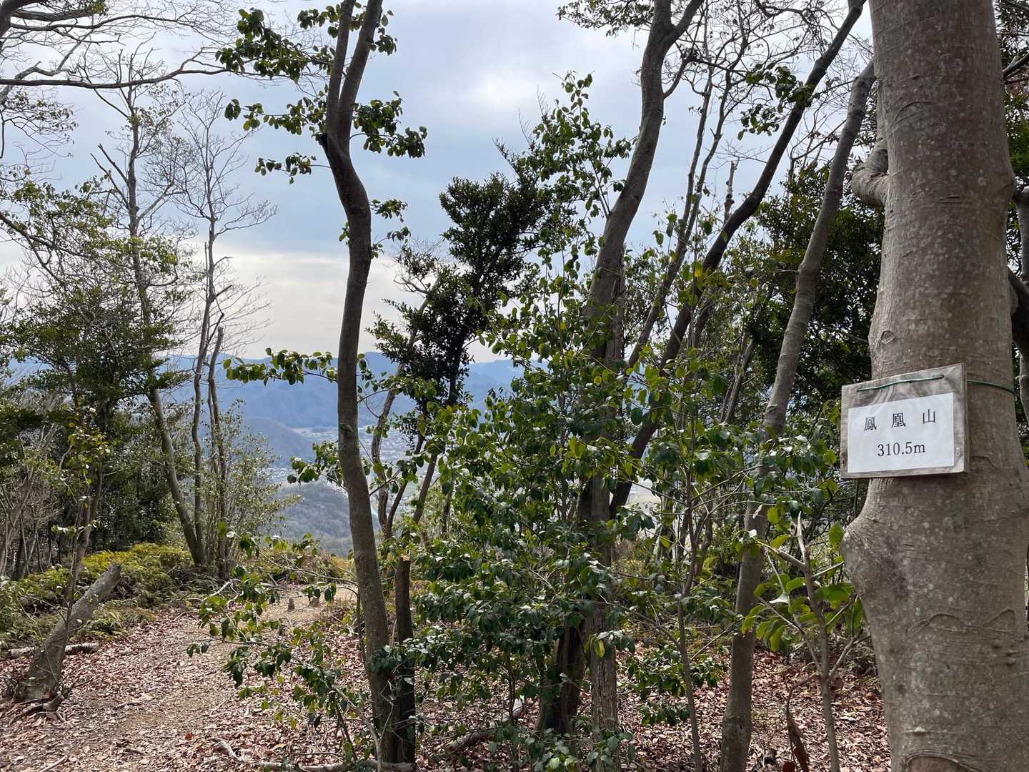 鳳凰山山頂到着〜♪