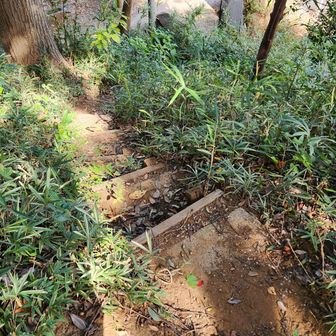 正面側の登山道？