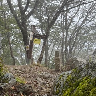 狭い山頂