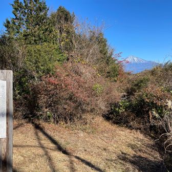 大丸(おおまる)山到着