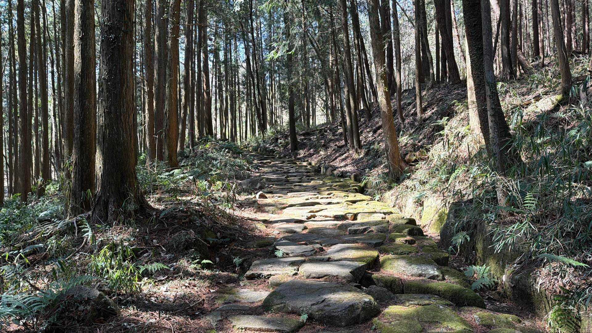 熊野古道のような石畳道。日本最長の石畳道だとか。とすれば熊野古道はどうなる？もっと長いと思うけど（笑）