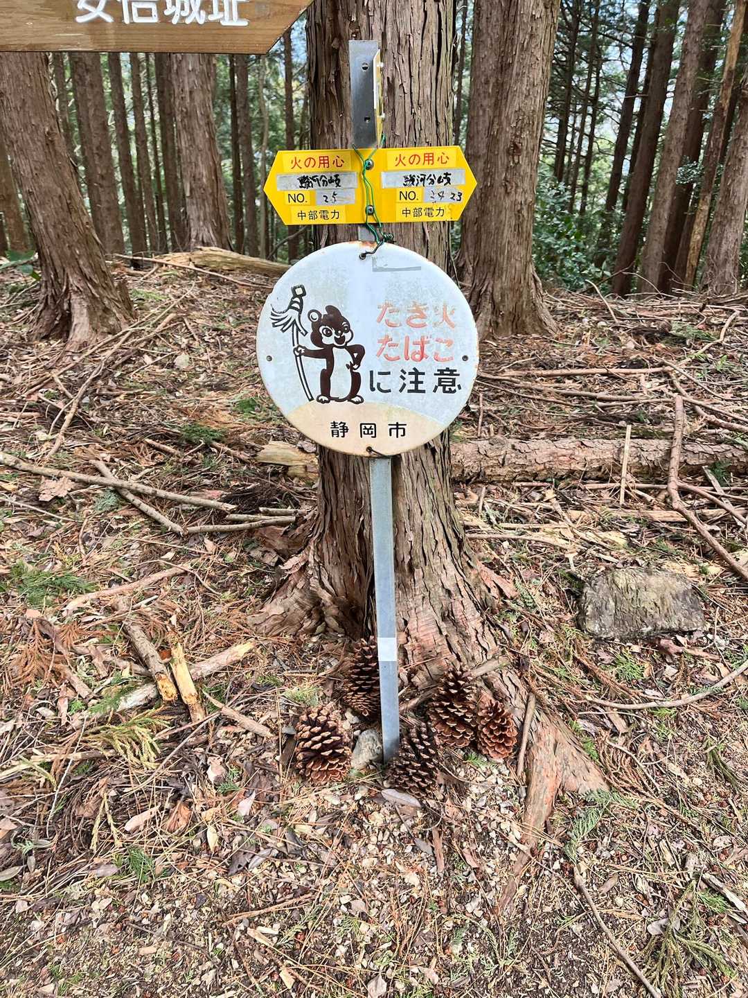 山頂が思いの外寒かったので、早々に下山します🥾