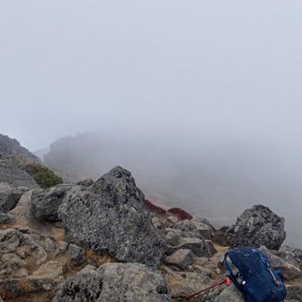 しばらくこのままで、小雨が風に乗ってきました