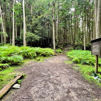 松畑茶屋跡　今日は水たまりなし