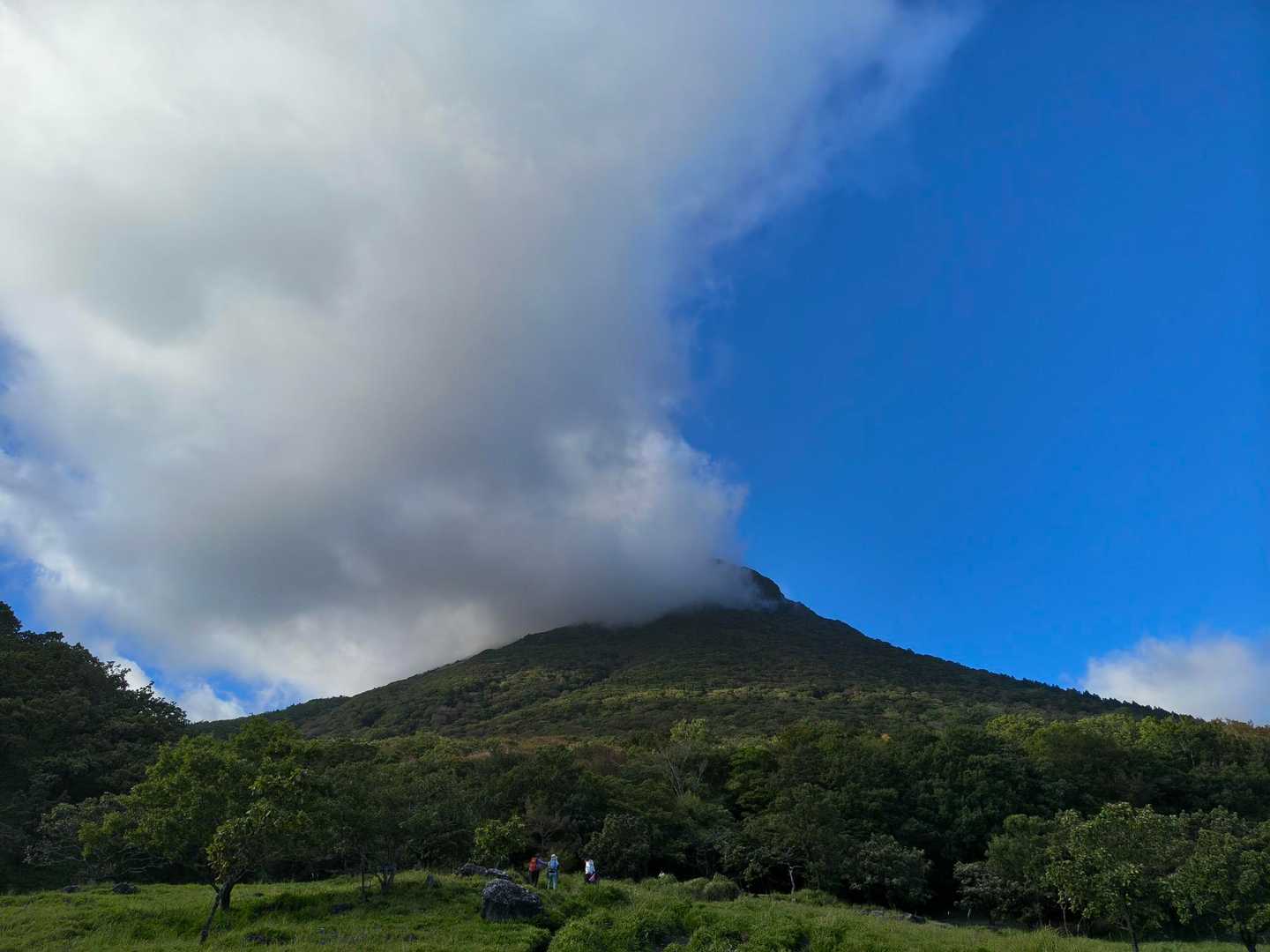 振り返って由布岳山頂☁
