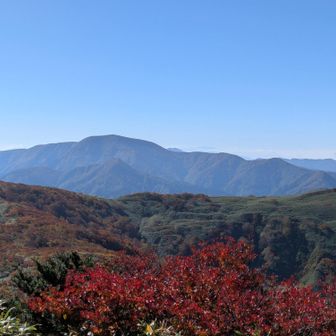 虎毛山
行きたい。。。
(仕事柄)公に開通してからでないといけないなー🥺
市民登山の日とか逃さずいきたいもんですね