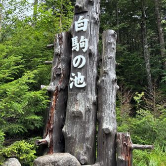白駒の池🅿️に無事に下山！