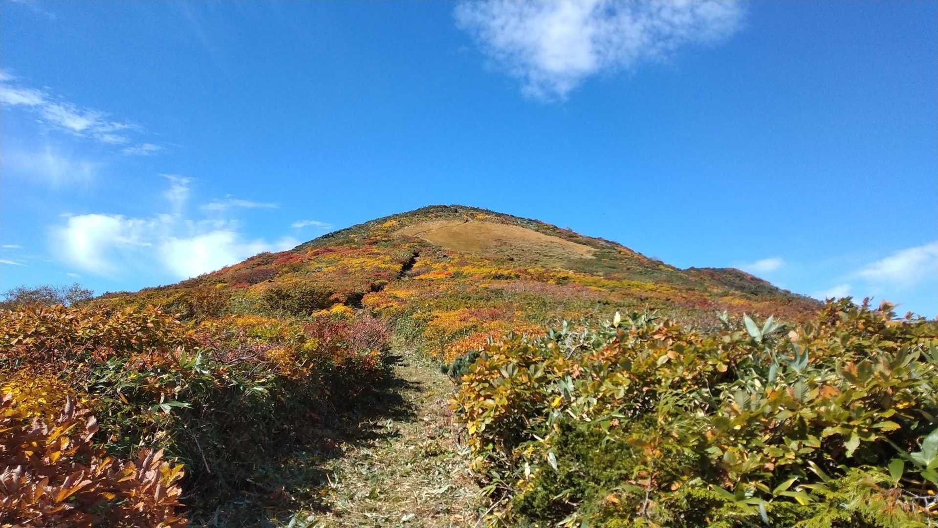 根菅岳まであと少し。