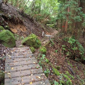 前回は旧天城トンネル方面から
歩き、万二郎岳のピークを
諦めてしまった💦
https://yamap.com/activities/39091377