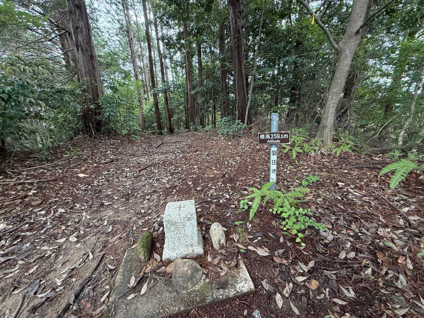 山頂！看板もないや
