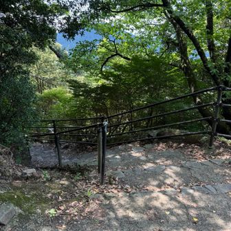 山頂駅から皿倉山山頂までは階段🙌

この階段がキツい人は
スロープカーで上まで行けるらしい！
スロープカーも乗ってみればよかった！
今度乗ってみよ🤭