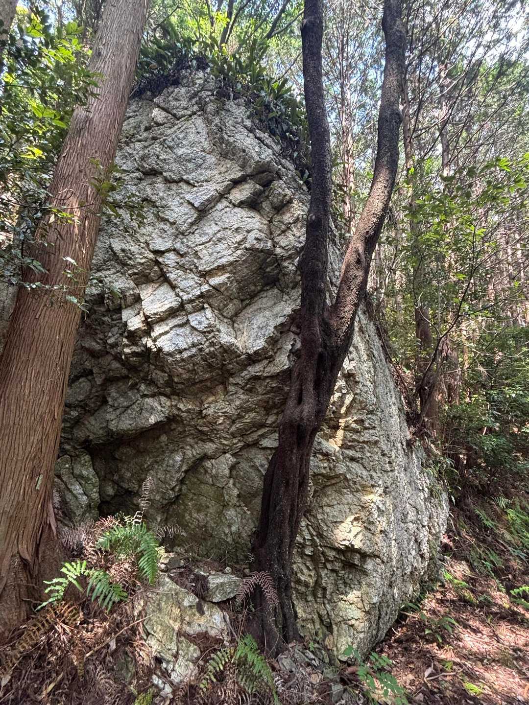 大きな石灰岩