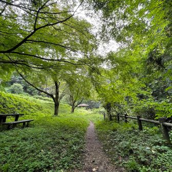 宿谷への途中。緑がキレイ。
雨後なので草でビショ濡れです。