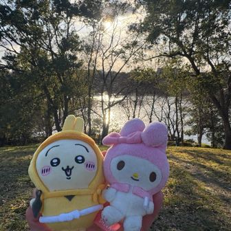 風が強いのでぬい撮りするだけでも一苦労です💦