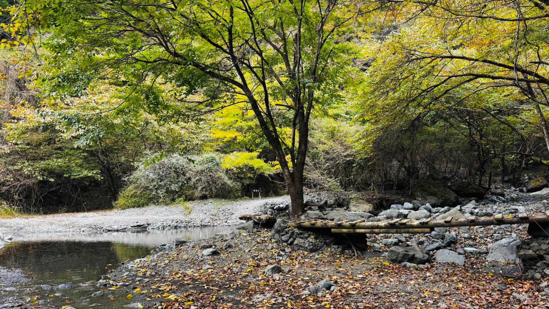 大倉バス停-後沢乗越-鍋割山-小丸-花立ノ頭-堀山-観音茶 周回コースの写真