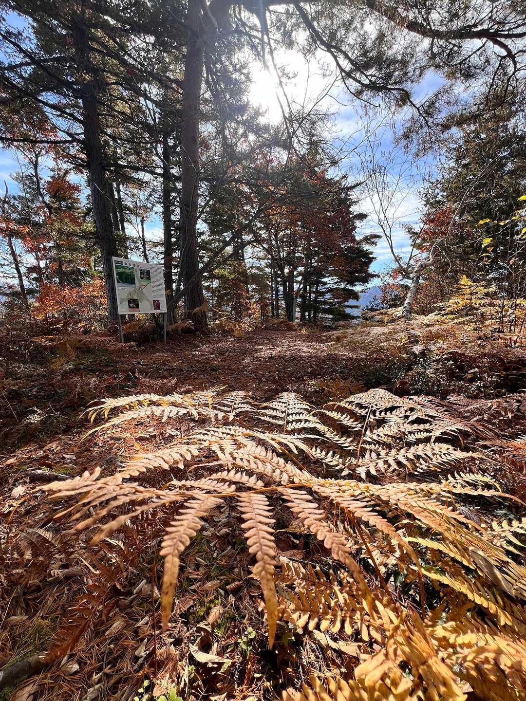 山頂