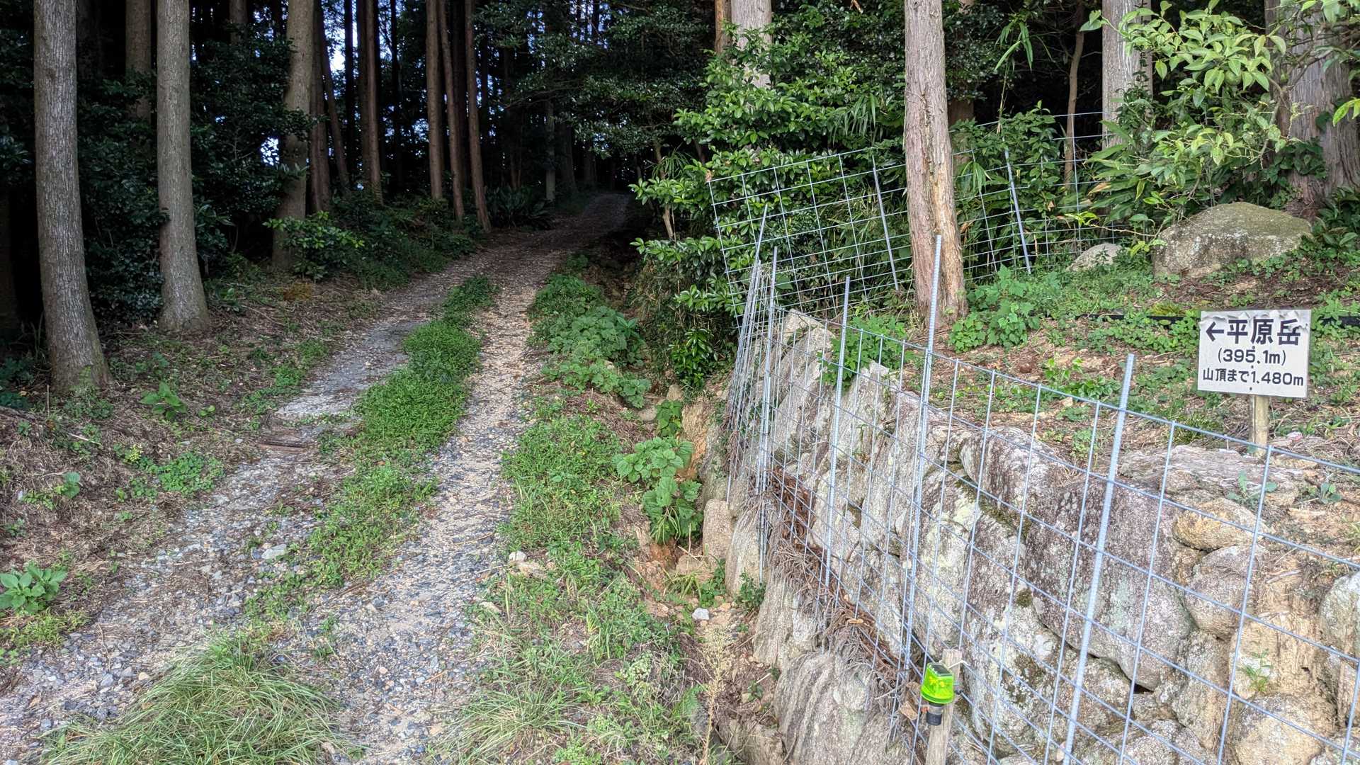 平原岳-宛木峠 往復コースの写真