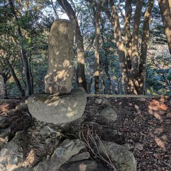 スイセンピーク、山名板は無し