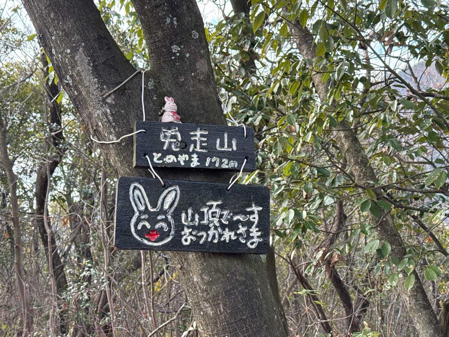 兎走山到着〜⛰️🐰
この看板見たかったんです❤️