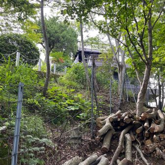 金網が張り巡らせて有り入れそうに無い。
あのデッキが山頂なのかなぁ？