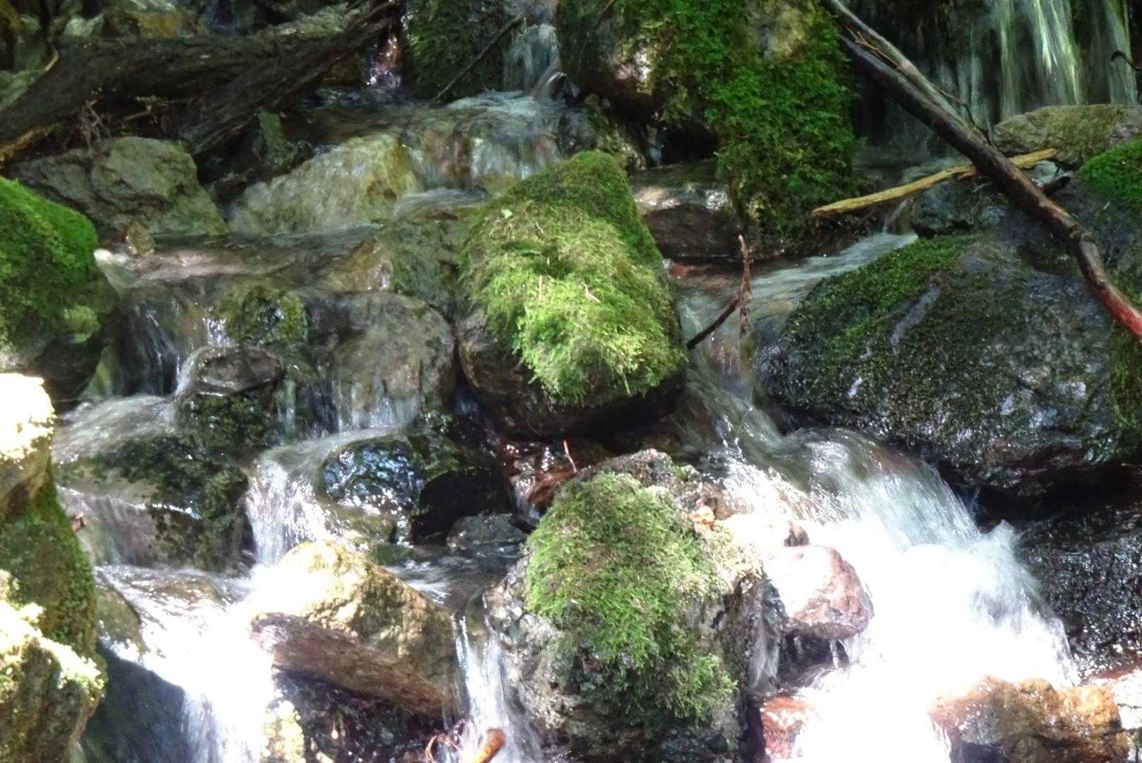 沢水で首から上が生き返りました。