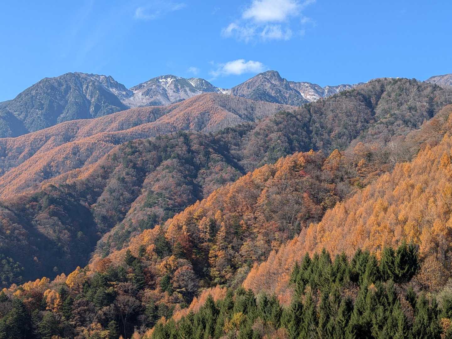 傘山登山道入口-傘山 往復コースの写真