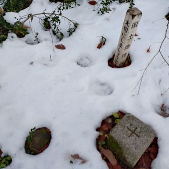 三角点脇に熊の足跡(前日以前のもの)