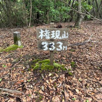 権現山に到着🐾