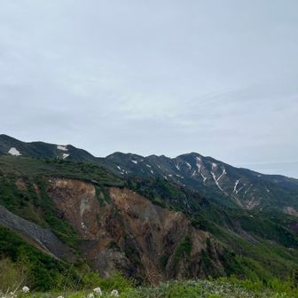 別山見えました。