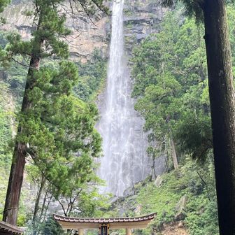 わぁ〜
圧巻の那智の滝は水量もあり見事でした