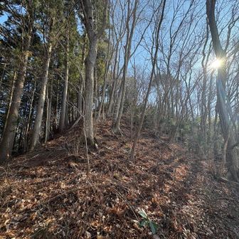 薬師岳、山頂が見えて来た