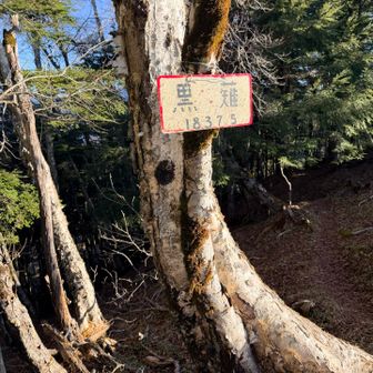 やっと『黒薙』